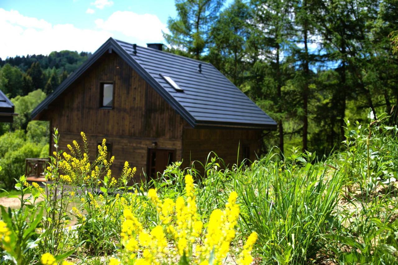 Lodge Szumny Dwor - Z Lazienkami *